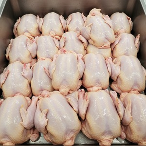 Xuất Khẩu toàn cầu của gà đông lạnh Halal cung cấp các sản phẩm gia cầm chất lượng cao với nguồn cung cấp và hỗ trợ phù hợp - Product Image 4