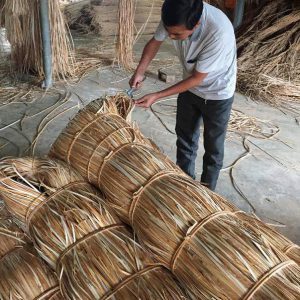 Noyau de rotin de haute qualité en gros prêt à être exporté du Vietnam Akina - Product Image 6