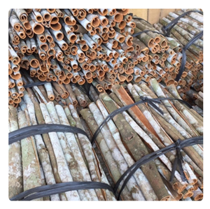 BÂTONS DE CANNELLE CASSIA DU VIETNAM | QUALITÉ SUPÉRIEURE, NATURELLE ET PURE | PRÊT À L'EXPORTATION | FOURNISSEUR EN VRAC - Product Image 3