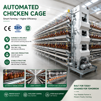 Cage à poules automatique pour poules pondeuses, système de cages pour volailles, fournisseur d'équipements agricoles
