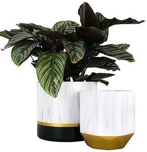 Jardinière en marbre moderne à étiquetage privé pour une décoration intérieure élégante, soutenant la vie écologique avec un récipient en pierre de qualité supérieure - Product Image 5