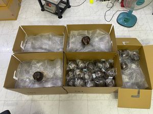 กระเป๋าหนังมะพร้าวมีซิปบุผ้าสำหรับสุภาพสตรีกระเป๋าถือแฟชั่นจากดอกบัวสีฟ้าเวียดนามดีไซน์ใหม่ - Product Image 6