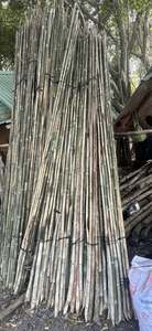 Pôles en bambou de qualité supérieure pour la construction, le jardinage et la décoration, avec une qualité durable à un prix très abordable - Product Image 6