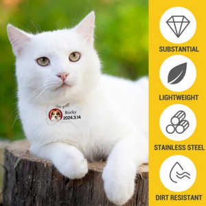 Etiqueta de perro de acero inoxidable grabada con láser de doble cara 5*3cm etiquetas de animales - Product Image 1