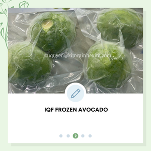 Avocat congelé IQF de qualité supérieure du Vietnam 100% naturel emballé en vrac et prêt à l'emploi - Product Image 3