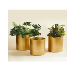 Maceta de Metal con acabado brillante dorado, diseño en relieve, forma redonda, interior, exterior, decorativa, hogar, balcón, maceta para decoración de jardín - Product Image 2