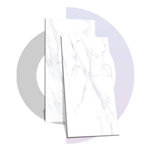 Carreau de porcelaine 600x1200mm - Product Image 1