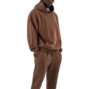 Haute qualité ample basique grande taille coton sweats à capuche lourd personnalisé unisexe pull à capuche 2026 - Product Image 2
