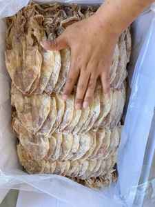 LA MEJOR CALIDAD Y PRECIO RAZONABLE CALAMAR SECO AL POR MAYOR PRECIO BARATO DE VIETNAM - Product Image 4