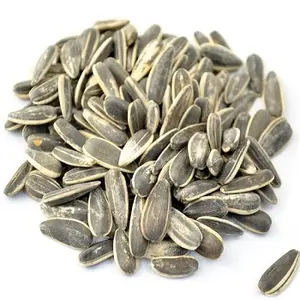 sunflower seeds roasted salted