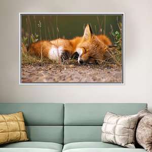 ภาพพิมพ์สุนัขจิ้งจอกนอนหลับ 3 มิติบนผืนผ้าใบ, โปสเตอร์สุนัขจิ้งจอกน่ารัก, ของตกแต่งผืนผ้าใบรูปสัตว์ขนาดใหญ่,1P:กรอบสีขาว - Product Image 1