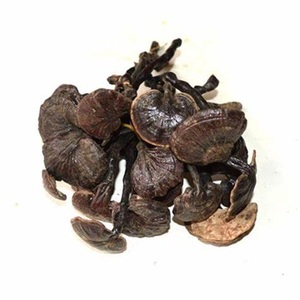 Compre Palm Kernel Shell (PKS) para biocombustible y material industrial a la venta a precio de lote - Product Image 3