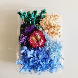 DIYドライフラワー素材プレスフラワー本物の天然ドライフラワーキャンドル樹脂フォトフレームアートデコレーション - Product Image 5