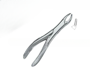 Forceps d'extraction dentaire Fig.150 Manuel Qualité supérieure Certifié CE Logo personnalisé Instruments dentaires en acier inoxydable - Product Image 6