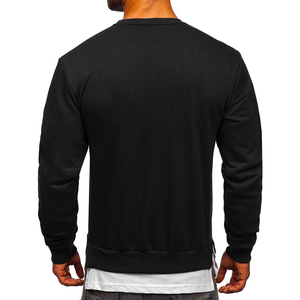 Sweat-shirt de marque pour hommes vente en gros de vrac sweat à capuche en coton molletonné à col ras du cou fabricant de logo personnalisé pour hommes - Product Image 2