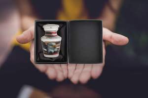 โกศจิตรกรรมสําหรับเถ้ามนุษย์ - โกศขนาดเล็กสําหรับเถ้ามนุษย์ โกศจิตรกรรม, โกศจิตรกรรมขนาดเล็กสําหรับเถ้าพร้อมถุงกํามะหยี่, โกศขนาดเล็ก - Product Image 3