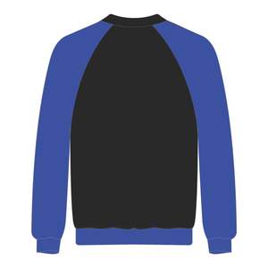 HBCU-Sudadera negra con mangas raglán de Zeta Phi Beta, sudadera con bordado de chenilla, suéter de la hermandad griega Divine Nine Collegiate - Product Image 3