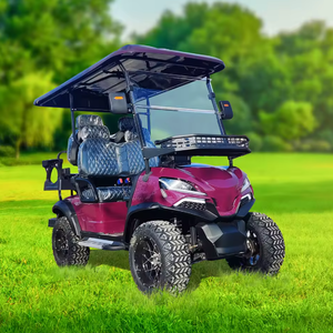 Carrito de Golf Eléctrico Auténtico, Homologado para Circular por la Calle, con Tracción en las 4 Ruedas, Motor sin Escobillas de 60/72V, Batería de Litio, Motor de 5000W, Más de 80 km/h - Product Image 1