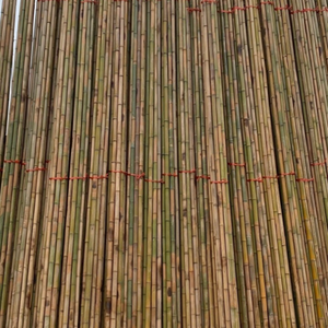 Valla de bambú de color natural, diseños de vallas de pared, valla de bambú enrollada del proveedor de Vietnam - Product Image 2