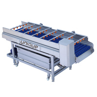 RVS 304 wortelgroentewaslijn borstelwasmachine