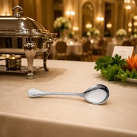 Ensemble de cuillères de service en acier inoxydable poli miroir, ustensiles de buffet professionnels pour hôtel, restaurant, banquet, restauration