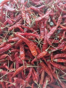 Piments séchés naturels du Vietnam: l'épice à la mode facile à utiliser pour les amateurs de cuisine à la recherche de piments rouges authentiques dans chaque recette - Product Image 4