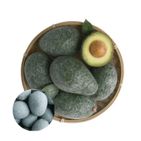 Gemaakt In Vietnam Premium Kwaliteit Concurrerende Prijs Geheel Bevroren Avocado Bulkaanbod