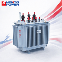 Transformateur de distribution immergé dans l'huile HENTG POWER 10KV 11KV 50 KVA 100 KVA 200 KVA MV HV pour la distribution intelligente des services publics