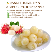 Ramboutan en conserve de qualité export du Vietnam, 10 kg, fourré aux ananas frais, prêt à consommer