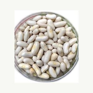 Vente en gros de haricots noirs de qualité supérieure emballés en vrac à prix économique - Product Image 1