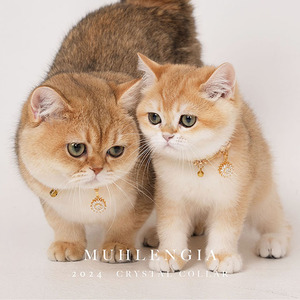 Colli di cristallo giranti 3D per cani e gatti, collari di lusso per gatti, prodotti unici per animali domestici, collari per cani e guinzaglio - Product Image 3