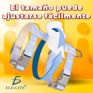 Pettorina per Gatti Piccoli con Dettaglio a Ali, Stile Semplice, in Neoprene e Nylon, con Dettagli in Acciaio Inossidabile, Anti-Fuga, Fantasia Floreale - Product Image 5