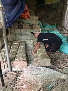 Vietnam Seagrass Corde-Matière première pour meubles et artisanat - Product Image 2