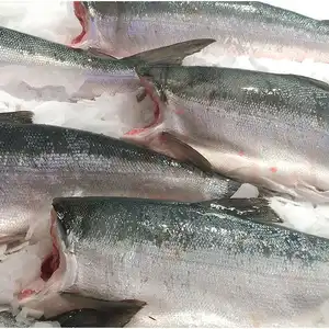 Поставщик свежей рыбы из атлантического лосося в Азию/Выращенный норвежский лосось