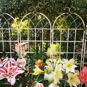 Enrejado de metal para jardín, soporte para enredaderas, decoración para patio trasero, soporte vertical de acero, duradero, para paisajismo - Product Image 4