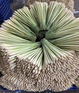 IQF Frozen Lemongrass High-Quality, Fresh Lemongrass Slices and Mince for Soup, Curry, and Hotpot - Product Image 2