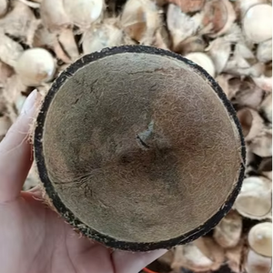 Cáscaras de coco de origen vietnamita disponibles a granel para fines industriales y creativos - Product Image 5