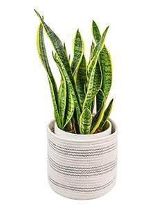Jardinière en corde macramé simple pour une décoration intérieure minimaliste, améliorant l'arrangement des plantes d'intérieur propre et calme - Product Image 2