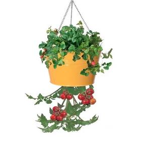 Jardinières suspendues colorées en métal de qualité supérieure Taille et forme personnalisées Jardinières décoratives de jardin Top tendance - Product Image 1