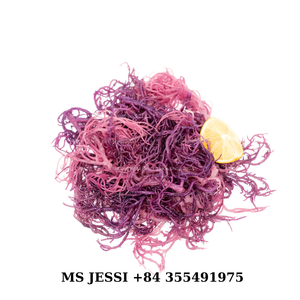 Hữu cơ nguyên wildcrafted Tím Irish seamoss từ Việt Nam khô biển rêu trong túi/<span class=keywords><strong>MS</strong></span> JESSI - Product Image 6
