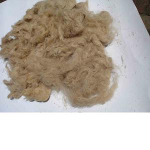 แคดดี้ปอกระเจาจากบังคลาเทศข้อเสนอแบบกำหนดเอง - Product Image 2