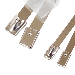 Steel Ball Stainless Steel Strap/Stainless Steel Ball <b>Lock</b> ZIP Ties - Product Image 3