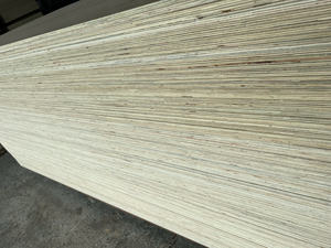 Contrachapado Comercial, Contrachapado de Abedul para Muebles - Product Image 3