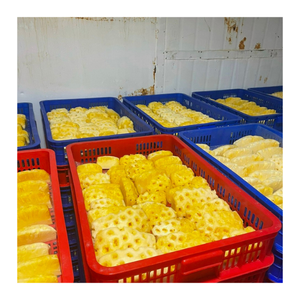 Vietnam Ananas congelés de qualité supérieure IQF morceaux d'ananas en vrac vente en gros d'ananas congelés exportation usine approvisionnement direct - Product Image 5