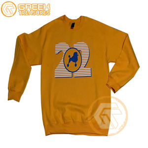 Sigma Gamma Rho personnalisé sweat-shirt brodé en coton polaire sororité pull de haute qualité vêtements grecs femmes sweat-shirts - Product Image 5