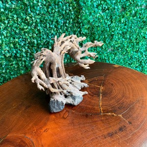 Produits accessoires pour petits aquariums en bois flotté du Vietnam, plantes vivants pour aquarium bonsaï en bois flotté à bas prix, M104.2 - Product Image 4