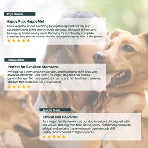 Nueva Llegada: Alimento Balanceado para Perros Sin Carne de Cordero, Superalimento Vegano Premium con Alto Contenido de Proteínas, Tofu y Garbanzos, Calabaza Saludable - Product Image 3