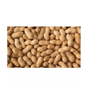 price blanched peanuts prices raw peanut Raw Peanuts, Pea <b>Nuts</b>, Raw Ground <b>Nuts</b> Supplier Halal Certificate New Crop Blanched - Product Image 2