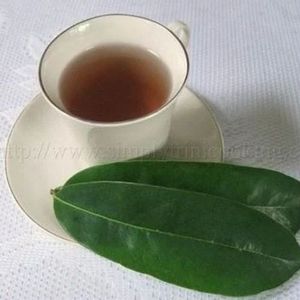 2025 Vietnam Sour Sop seco Graviola hojas producto agrícola de calidad premium en gran oferta con precio competitivo - Product Image 3