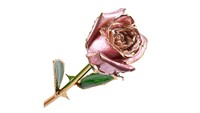 Rosa Chapada en Oro Puro de 24k, Símbolo de Lujo, Ecológica, de Alta Calidad, en Caja de Regalo Artificial para el Día de la Madre